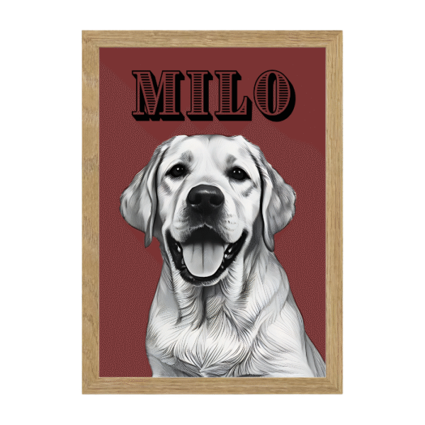 Diseño Trazcor - Imagen 7