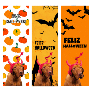 Punto de libro "Halloween"