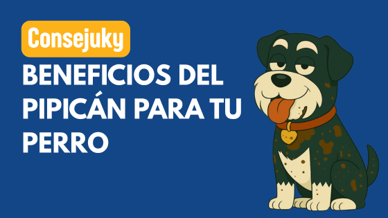 Beneficios del pipicán para mi perro