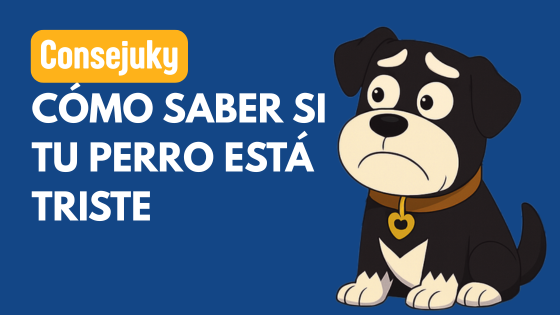 CÓMO SABER SI TU PERRO ESTÁ TRISTE