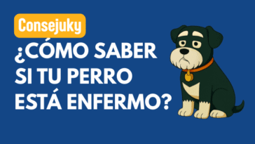 Cómo saber si mi perro está enfermo
