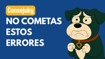 errores al pedir diseño personalizado