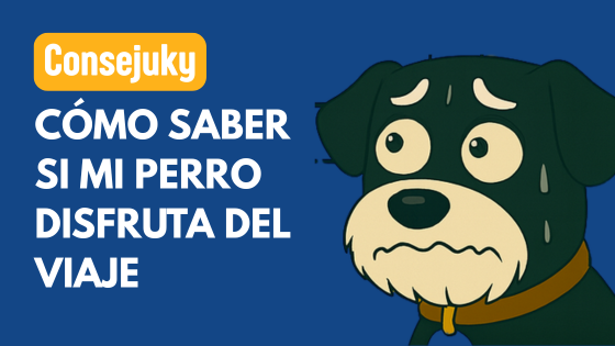 cómo saber si mi perro disfruta el viaje